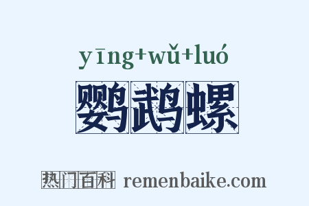 鹦鹉螺是什么意思的图片